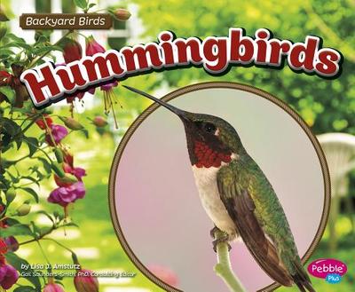 Hummingbirds - Amstutz, Lisa J