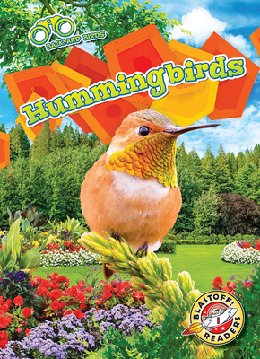 Hummingbirds - Barnes, Rachael