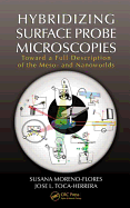 Hybridizing Surface Probe Microscopies: Toward a Full Description of the Meso- And Nanoworlds