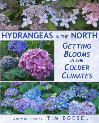 Hydrangeas in the North: Getting Blooms in the Colder Climates - Boebel, Tim