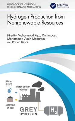 Hydrogen Production from Nonrenewable Resources - Rahimpour, Mohammad Reza (Editor), and Makarem, Mohammad Amin (Editor), and Kiani, Parvin (Editor)
