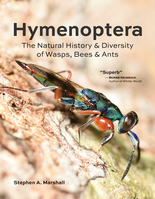 Hymenoptera: The Natural History and Diversity of Wasps, Bees and Ants - Marshall, Stephen A
