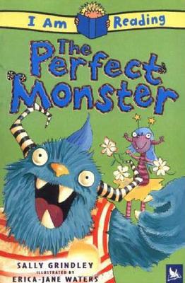 I Am Reading the Perfect Monster - Grindley, Sally, and Waters, Erica-Jane