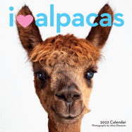 I Heart Alpacas Wall Calendar 2022