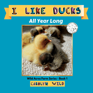 I Like Ducks: All Year Long