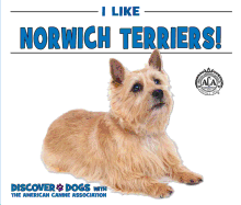 I Like Norwich Terriers!