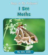 I See Moths