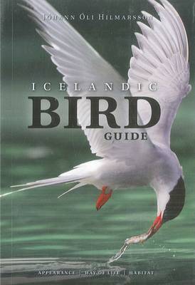 Icelandic Bird Guide: Appearance, Way of Life, Habitat 2019 - 