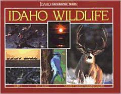 Idaho Wildlife