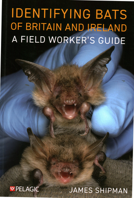 Identifying Bats of Britain and Ireland: A Field Worker's Guide - Shipman, James
