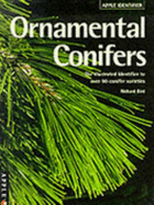 Identifying Ornamental Conifers - Bird, Richard