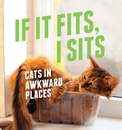 If It Fits, I Sits: Cats in Awkward Places