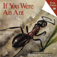 If You Were an Ant