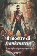 Il mostro di Frankenstein PARTE 1: Il risveglio degli emarginati