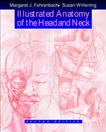 Illustrated Anatomy of the Head and Neck - Herring, Susan W, PhD, and Fehrenbach, Margaret J, MS