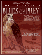 Illustrated Birds of Prey: Red-Tailed Hawk, American Kestral, & Peregrine Falcon: The Ultimate Reference Guide for Bird Lovers, Woodcarvers, and Artists