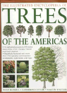 Illustrated Encyclopedia of Trees of the Americas: An Authorative Guide to Over 500 Native Trees of the USA, Canada, Central and South America - Russell, Tony
