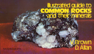 Illustrated guide to common rocks and their minerals - Brown, Vinson, and Allan, David