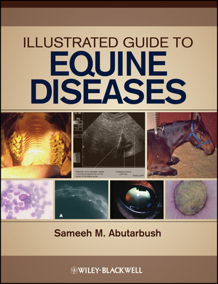 Illustrated Guide to Equine Diseases - Abutarbush, Sameeh M (Editor)