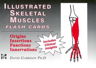 Illustrated Skeletal Muscle Flash Cards - Garrison, David