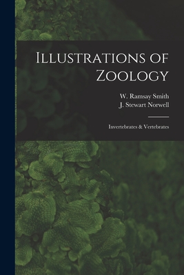 Illustrations of Zoology: Invertebrates & Vertebrates - Smith, W Ramsay (William Ramsay) 18 (Creator), and Norwell, J Stewart (Creator)