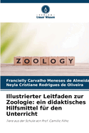 Illustrierter Leitfaden zur Zoologie: ein didaktisches Hilfsmittel fr den Unterricht