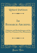 Im Bismarck-Archipel: Erlebnisse Und Beobachtungen Auf Der Insel Neu-Pommern (Neu-Britannien) (Classic Reprint)