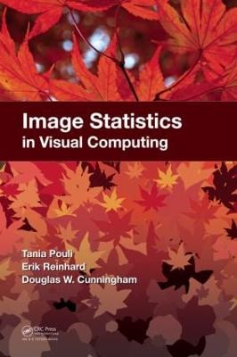 Image Statistics in Visual Computing - Pouli, Tania, and Reinhard, Erik, and Cunningham, Douglas W