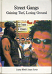 Street Gangs: Gaining Turf, Losing Ground (Icarus World Issues Series)