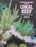 Natural History of the Coral Reef