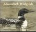 Adirondack Wildguide: a Natural History of the Adirondack Park