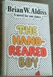 The Hand-Reared Boy: a Novel for Our Times