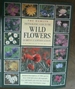 The Hamlyn Photographic Guide to the Wild Flowers of Britain & Northern Europe