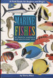 Marine Fishes of Tropical Australia and South-East Asia