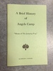 A Brief History of Angels Camp, "Home of the Jumping Frog"