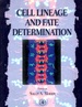 Cell Lineage and Fate Determination