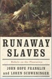 Runaway Slaves Rebels on the Plantation