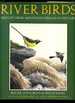 River Birds: Bird Life From Mountain Stream to Estuary