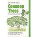 Common trees of southern Africa