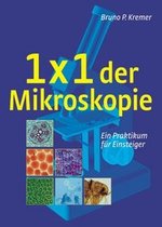 Konflikt, Krankheit Texte Des Salzbuger Seminars September 1988. Homopathische Kursbcher Band I. Edward C. Whitmont (Autor)
