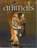 Animals: an Illustrated Guide