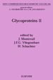 Glycoproteins II