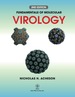 Fundamentals of Molecular Virology