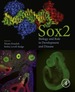 Sox2: Biology and Role in Development and Disease