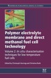 Polymer Electrolyte Membrane and Direct Methanol Fuel Cell Technology: in Situ Characterization Techniques for Low Temperature Fuel Cells