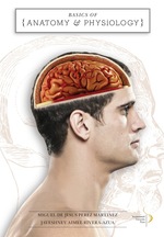 Basics of Anatomy and Physiology