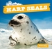 Harp Seals