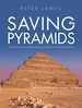 Saving the Pyramids