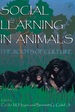 Social Learning in Animals