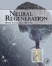 Neural Regeneration